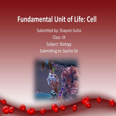 Fundamenal Unit Of Life Cell