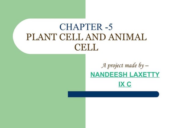 Cell project example | PPT | Biological Sciences | Science