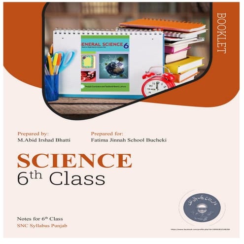 6th class science solved exercises snc syllabus punjab | DOCX