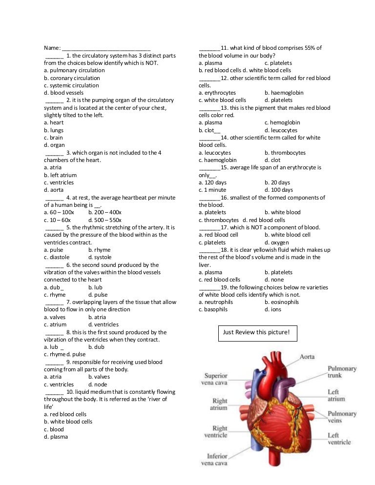 Science review (1st monthly)