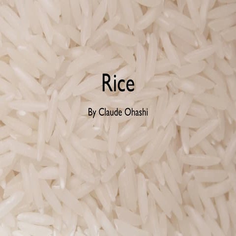 Science rice project