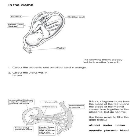 ScienceShare.co.uk Shared Resource