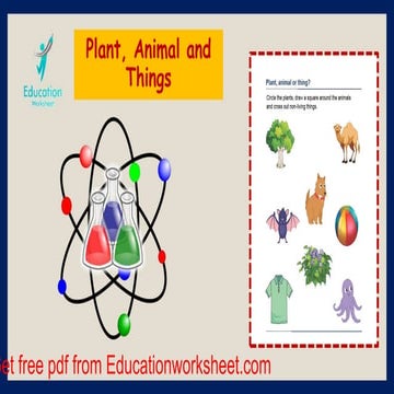 Science worksheets | PPTX