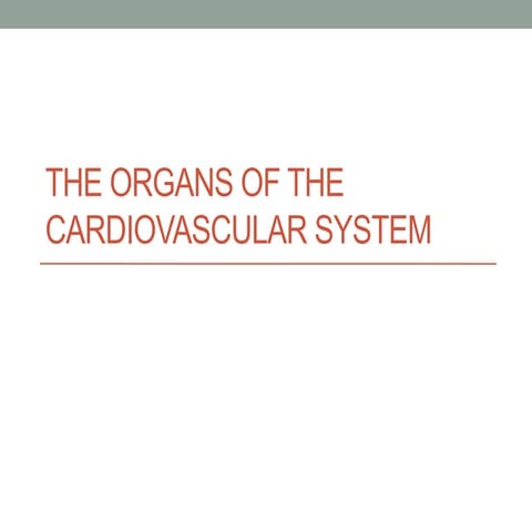 Organs of Cardiovascular System