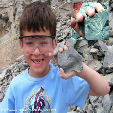 Sci Inquiry / Experimentation