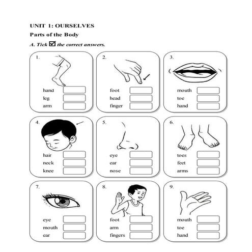 Science exercise year 1