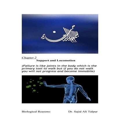 Scientific biological reasons (support and locomotion)