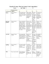 Featured image of post Cell Organelle Graphic Organizer Answers
