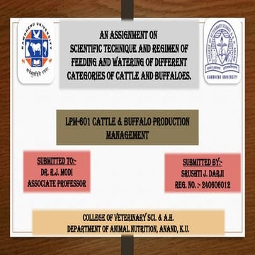 scientific_feeding of animals[1][1].pptx