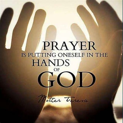 Steps of the scientific investigation.pptx