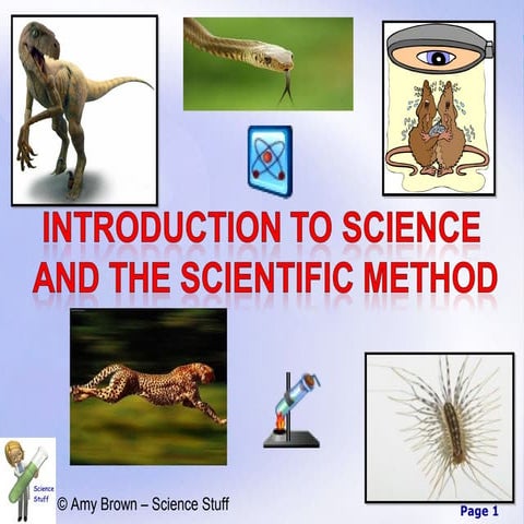 Scientific method pps.