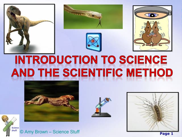 Scientific method power point