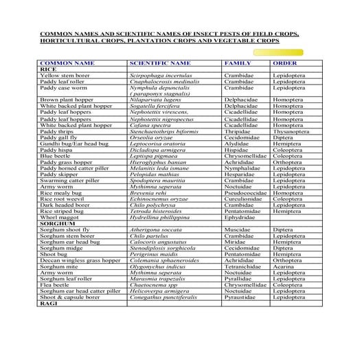 Scientific Name of Insects.pdfjjjjkkkkkkjj