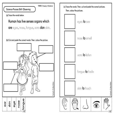 SCIENTIFIC SKILLS YEAR 1 SAMPLE QUESTION | PDF