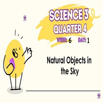 Classifying Natural and Human-Made Objects in the Sky: Living and Non ...