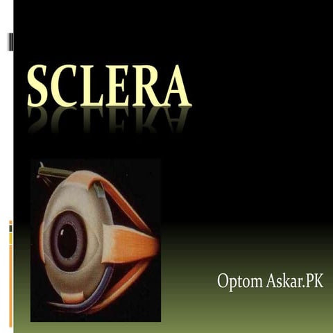 Sclera 