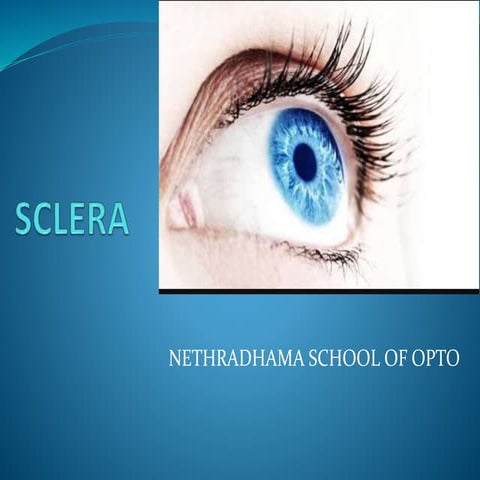 Sclera