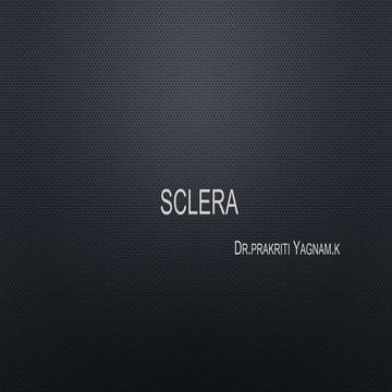 Sclera | PPT