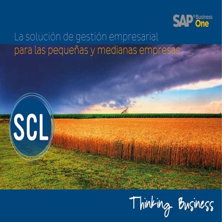 SCL SAP Business One- Visión General 