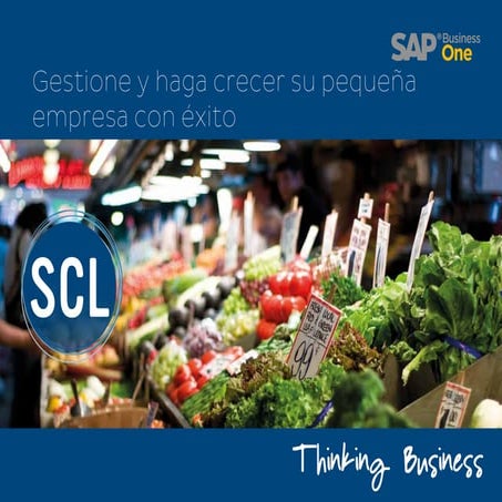 ¿ Qué es SAP Business One?