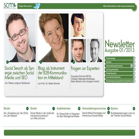 scm-Newsletter 1/2013