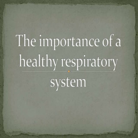 importance of healthy respiratory system