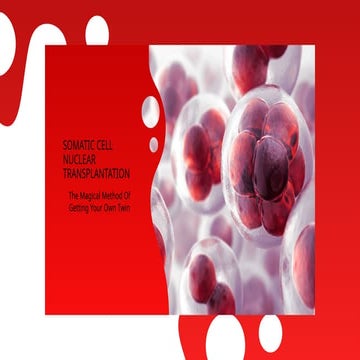 Somatic cell nuclear Transplantation PPT2.pptx