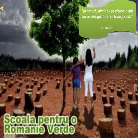 Scoala generala Livada din jud Arad premiata in programul "Scoala pentru o Romanie Verde"