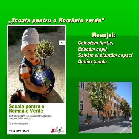 Scoala Gimnaziala "Silvania" castiga al doilea premiu in programul national de colectare hartie