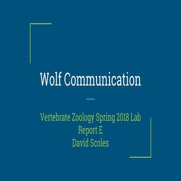 Scoles lab report e | PPTX