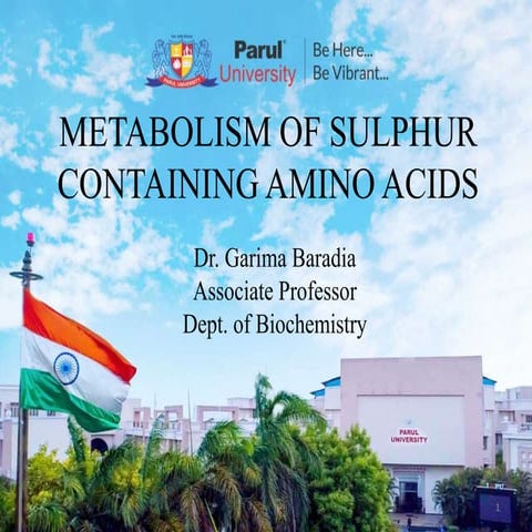 S containing AA Metabolism  Met, Cys-Methionine, cysteine, homocysteine, and ...
