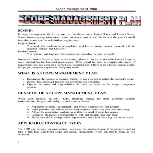 Scope management term paper