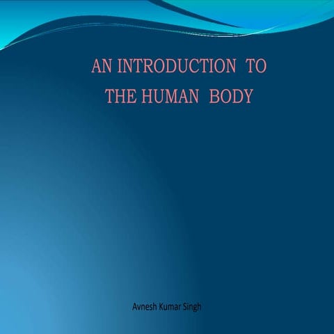 SCOPE OF HUMAN ANATOMY AND PHYSIOLOGY.pptx
