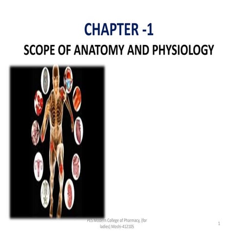 SCOPE OF ANATOMY AND PHYSIOLOGY PDF SLIDESHARE visual data 4