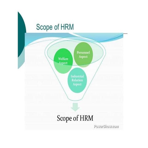 Scope of human resource mangement