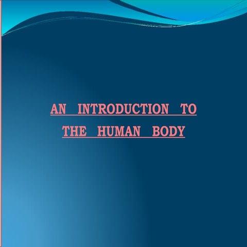 Chapter 1. Introduction to Human Body | PPTX