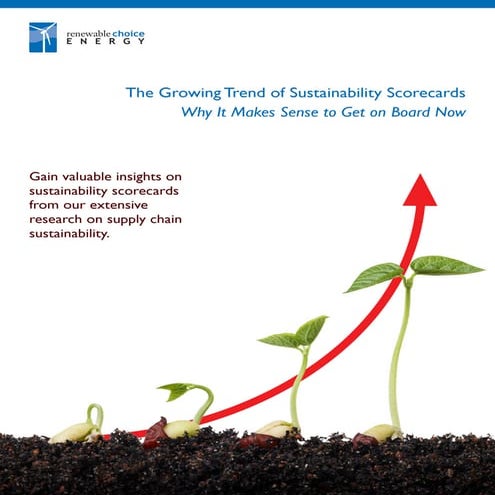 The Growing Trend of Sustainability Scorecards - White Paper