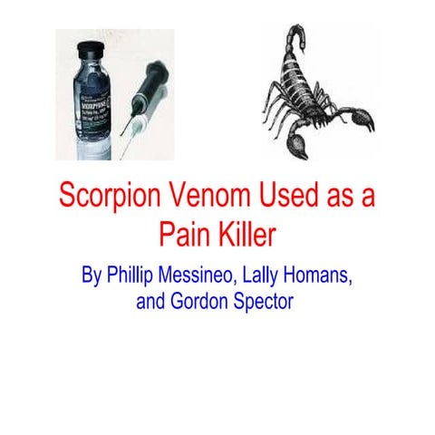 Scorpion Venom Used As A Pain Killer