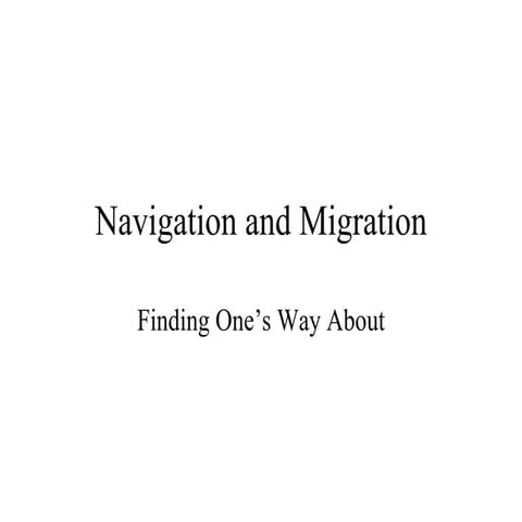 Scott 4-naviga migrat-