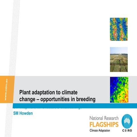 Plant adaptation to climate change - Scott Chapman