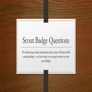 Scout badge questions