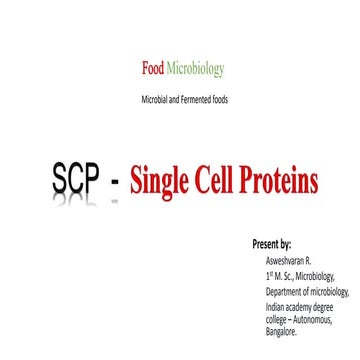 Single Cell Proteins