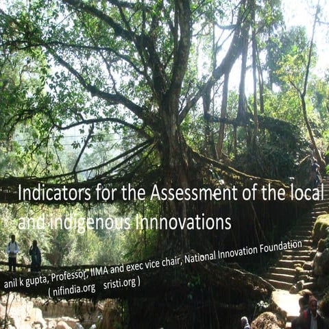 Indicators for the Assessment of the local and indigenous Innnovations