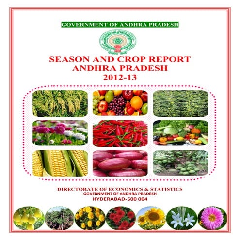 Crop production 2012-13 andhra pradesh