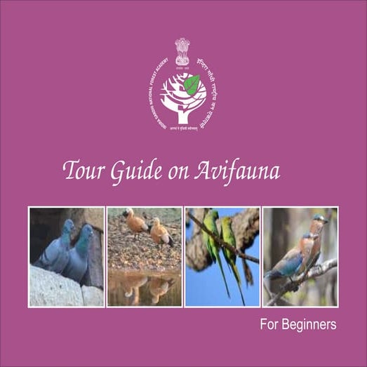 scrap book for birds school students.pdf