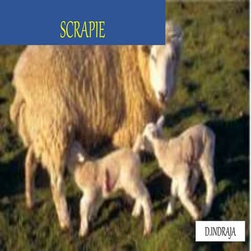 prion diseases(Scrapie and cjd)