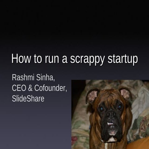 Scrappy Startup2
