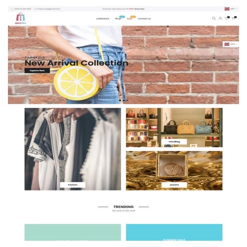 a Shopify store development | PDF