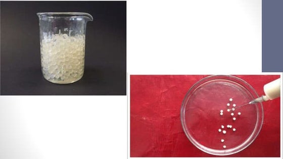 Microbial Type Culture Collection (MTCC) | PPTX
