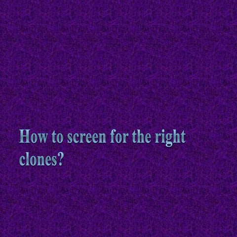 Screening and maintainance of the clones.ppt